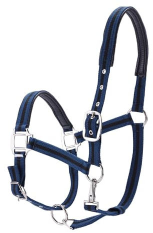 Gallopoff Licol Réglable pour Chevaux, Licol d'Entraînement, Bleu Cheval | Sangle et Boucles en Nylon Ultra-Résistantes, Rembourré avec Mousse Anti-Frottements au Niveau de la Tête et du Museau