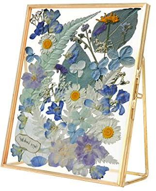 Cornice in Ottone Geometrico Ornamento Pianta Esemplare Clip per Fiori Secchi Pressati Pianta Esemplare Clip Decorazioni Galleria Vintage Cartoline Artwork Frame Solo Cornice in Vetro 14x16cm