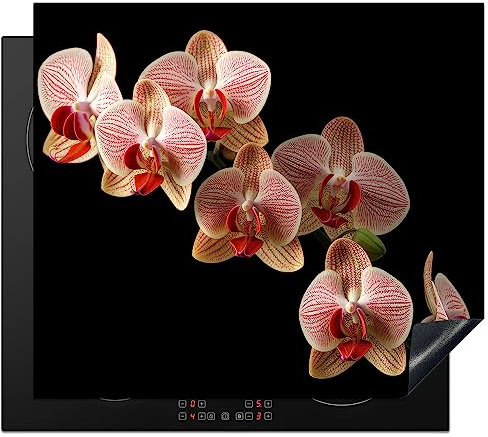 KitchenYeah© Cubre Vitrocerámica - Protector Vitroceramica Induccion 60x52 cm - Tapa Vitroceramica - Protector de Vitroceramica Flores - Orquídea - Rosa - Botánica - Naturaleza
