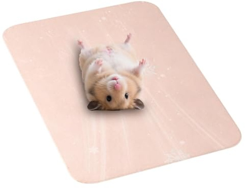 Tappetino refrigerante per cani, portatile, in alluminio, lettino estivo per piccoli animali, piastra di raffreddamento per gabbie, criceti, ricci, scoiattoli, piccoli animali e coniglietti