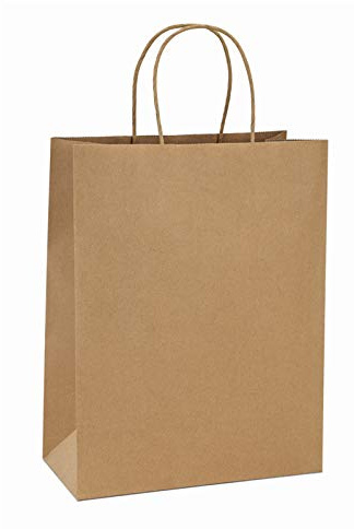 BagDream 10x5x13 Kraft Shopping Bags 100Pcs Brown Paper Bags with Handles Bulk, for Gifts, Merchandise, Retail, Party Favor, Take-out, Grocery, Recycled Paper Gift Sacks