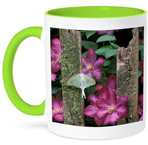 3dRose Pennsylvania, Luna moth insect, clematis flowers - US39 BJA0006 - Jaynes Gallery 11oz Two-Tone Green Mug