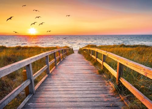 Ulmer Puzzleschmiede - Puzzle Abendstunde auf Sylt - 2000 Teile Puzzle - Nordsee-Motiv mit Sonnenuntergang über den Dünen am Strand von Sylt, Deutschland