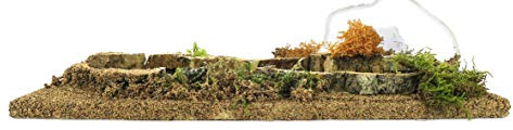 Bertoni Beleuchteter Teich für Krippe Batteriebetrieben | Nächtlicher Lichteffekt auf dem Wasser | Holz und Kunststoff | Für Figuren 8-12 cm | Italienisches Produkt | 33x13x17 cm