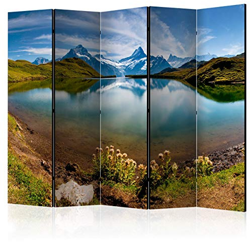 decomonkey Paravent Raumteiler Innen Landschaft, 225x172 cm, 5-teilig | Beidseitig, Natur, Wohnzimmer, Room Divider, Wall, Raumteiler Stehend, Trennwand, Sichtschutz, Spanische Wand, Holz