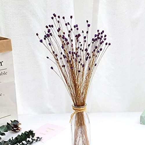 LIJUCAI 50 stücke Natürliche Simulationsblumen Importierte Trockenblumenstrauß Echte Happy Flower Shooting Requisiten Klebriges Material Dekorativ, Lila