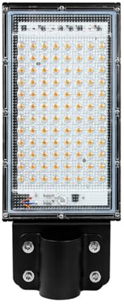 MEIVIYA Faretto LED da esterno LED 25W 50W 100W Lampione Stradale Impermeabile Applique Da Parete AC220V Proiettore Illuminazione Esterna Giardino Residenziale Hotel Faretto Luce(Warm White,100W)
