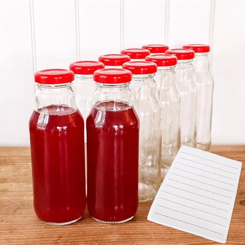 Glasflasche 300 ml mit rotem Schraubdeckel – Saftflasche leer 0,3 l TO38 – Smoothie Flasche Glas – Wiederverwendbare Trinkflasche spülmaschinengeeignet für Saft, Sirup, Öl & Selbstgemachtes (20)