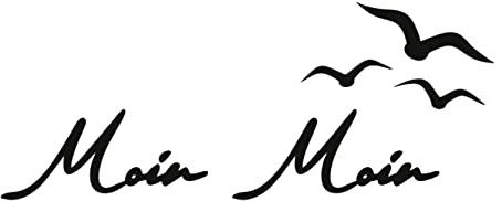 KLEBEKÖNIG Aufkleber Moin Moin Schriftzug Möwen - Sticker Autoaufkleber Scheibenaufkleber Motorradaufkleber Meer Camping - 2 Größen (30cm x 12 cm)