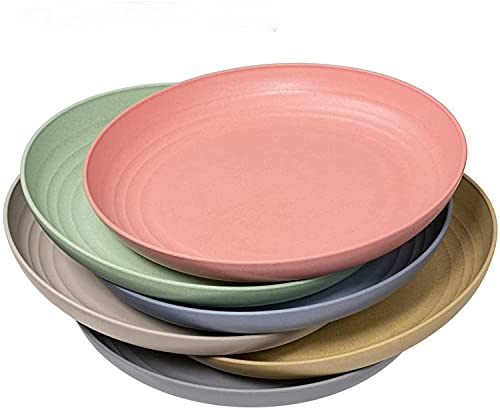 Hobein Unbreakable Dinner Plates, 9 Inch Set of 6 Plastic Plates, Dishwasher and Microwave Safe, Unbreakable and Lightweight, Healthy for Kids (9 inch)