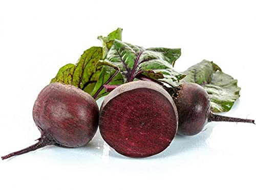 100 rote Rübensamen - Gemüse Gemüse Gemüsegarten - reproduzierbare Bauernsamen - Aussaat