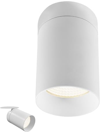 LUXRITE 3-Inch Cylinder Downlight, Recessed Ceiling Spot Light, 5CCT Selectable 2700K-5000K, CRI 90, 16W, 1000 Lumens, Dimmable, 60º Swivel Angle, Spot Light Indoor, ETL Listed, White Finish