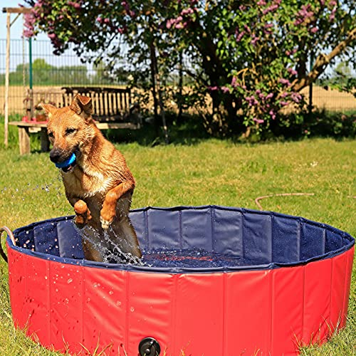 lionto Piscina per Cani pieghevole in PVC Piscinetta per Cani Bagno per Cani Piscina per Cani di diverse misure, (S) 80 cm Ø Altezza 20 cm Blu/Rosso