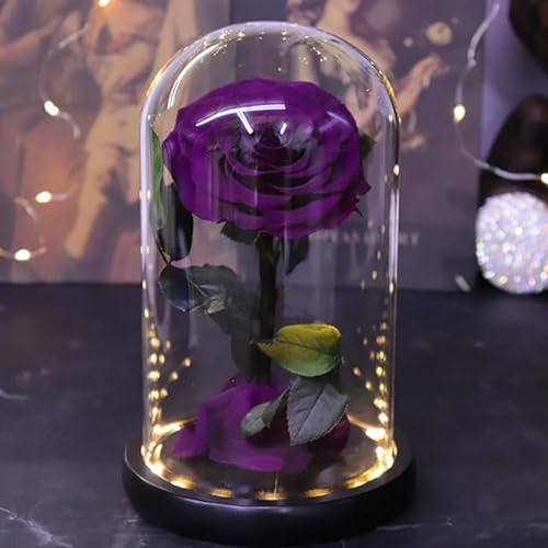 ZEYRU Prince Preserved Fresh Rose In Glass Dome Home Indoor Decor Mother's Day Valentine's Day Holiday Flower Gift-noble purple,with light