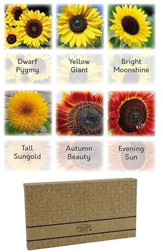 Pronto Seed Sunflower Seeds Collection - Grow Your Own Kit with 6 Stunning Varieties Including Yellow Giant - Perfect for Pots, Beds & Containers - Gardening Gift Set (Sunflower Seeds)