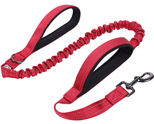 VIVAGLORY Laisse Bungee Haute Résistance pour Chien, Laisse de Formation Réfléchissante sans Traction avec Poignée de Trafic pour Chiens Moyens et Grands, Tailles Ajustables, Rouge