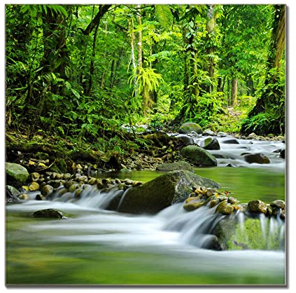 banjado Glas Magnettafel (50 x 75cm) - Magnetwand Glas - Magnetpinnwand als Memoboard - Pinnwand Magnettafel Küche, Büro, Kinderzimmer - Rauschender Bach