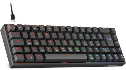 KOORUI 60% Mechanical Gaming Keyboard, Mixed Colors LED Backlit Ultra-Compact 69 Keys, Mini Wired Keyboard with Blue Switch for Windows Laptop PC/Mac OS/Xbox-BLACK(Blue Switch)