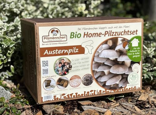 Austernpilz Bio Home-Pilzzuchtset