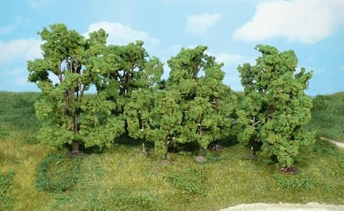 Heki 1415 - Alberi decidui, altezza 6-13 cm (12 pezzi)