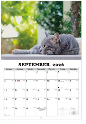 Katter kalender 2026, väggkalender – 13 månaders planering, hängande månadskalender | För vardagsrum, kontor, sovrum, studierum, undervisningsrum, verkstad