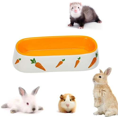 Ciotola in Ceramica Carrot Ciotole per Animali Domestici Ciotola dell'acqua Ciotola per Cibo per Conigli Riccio Criceti Porcellino D'India Furetto Gattino Cucciolo (Ciotola Lunga)
