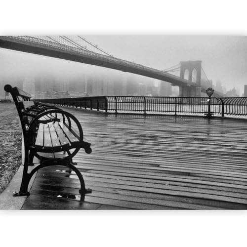 murando Fotomurales Nueva York 500x350 cm XXL Papel pintado tejido no tejido Decoración de Pared decorativos Murales moderna de Diseno Fotográfico City New York NYC c-B-0041-a-a