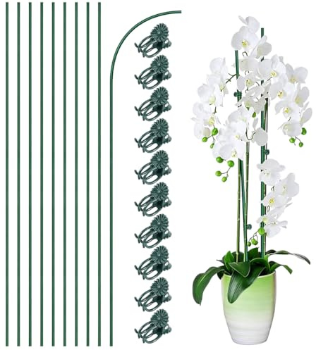 DOVBAN 10 Pcs Bastoncini Di Supporto Verdi Pieghevoli Con 10 Clip,Supporti Per Piante 30 Cm,Bastoncini Da Giardinaggio Per Piantine Di Girasole,Orchidee