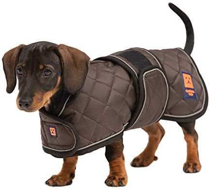 Ginger Ted Warm Harness Dachshund Coat size 18/46cm Brown - for short-legged breeds, warm fleecy lining, zip shoulder harness slot, reflective piping, jacket raincoat parka style