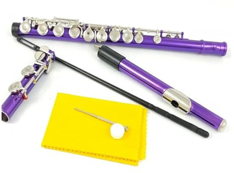Flauto Flauto 16 fori chiusi Tasti C Strumento Flauto viola placcato in cupronichel nichelato con chiave E