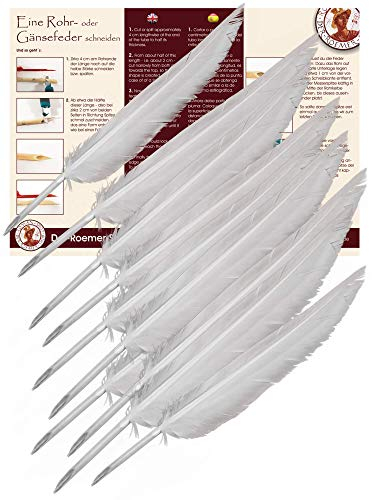 Forum Traiani Feder zum Schreiben 10 Stk. Kalligraphie Schreibfeder, Federkiel zum Zuschneiden Kalligrafie Stift Gänsekiel, Federkiele Set, Schreibrohr Gänsefedern