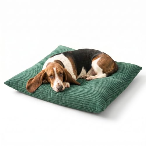 4L Textil Molly Hundebett Hundekissen groß Cord | 100x80 cm | Grün | Abnehmbarer Bezug | Mit Reißverschluss | Maschinenwaschbar