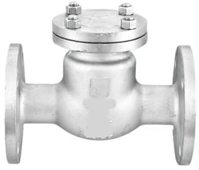 Valvola di ritegno flangiata in acciaio inossidabile 316L H44W-16P Valvola unidirezionale a battente for raccordi for tubi filettati(2inch)