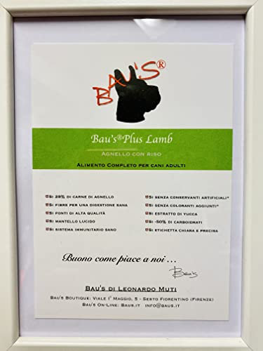 Baus Plus Lamb 9 kg Trockenfutter für Hunde Monoprotein Lamm mit Reis hypoallergen