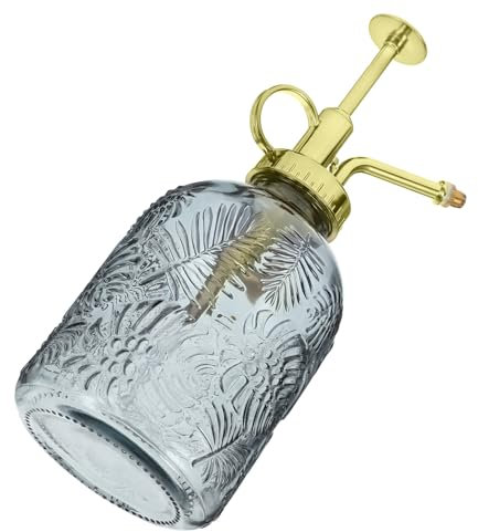 TINEASUR Brumisateur pour Plantes Verre Petit Arrosoir Manuel Vaporisateur Eau pour Fleurs Arrosage des Pots De Fleurs Réutilisable pour Jardinière