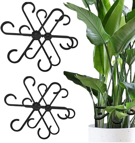 Supporto A Deformazione Vegetale 4 Set - Porta Del Gambo Per Piante Da Arrampicata | Supporto Per Impianti In Diverse Dimensioni Per Monstera Alocasia Philodendron | Di Rango Per La Stabilizzazi