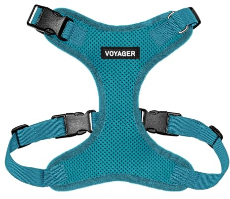 Voyager Step-in Lock Dog Harness - Turquoise, Small