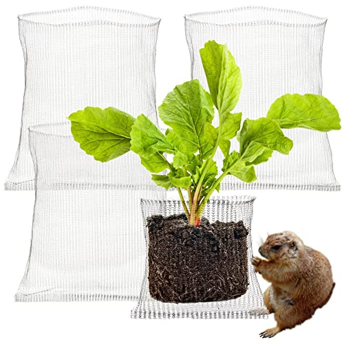 LEMCC 4 Stück Wurzelschutz aus Edelstahl für Pflanzen, 45 x 40 cm, Körbe für Wühlmaus und Wühlmaus-Drahtkörbe für Beeren, Gemüse