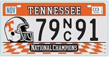 OPO 10 - USA car LICENSE PLATE - 30x15 cms metal replica: TENNESSEE (C42)