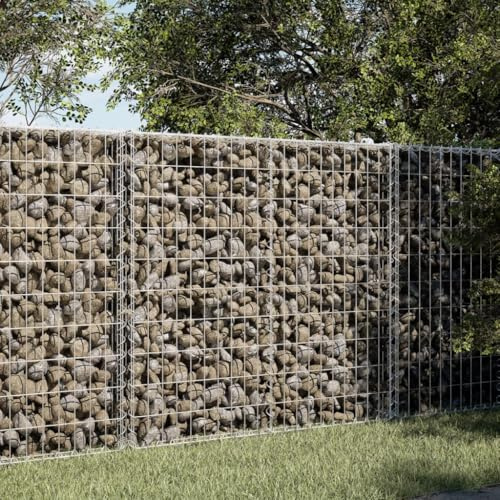 GCHDHAPB Gabion Basket with Cover 150x100x100 cm Galvanised IronHome & Garden Lawn & Garden Gardening Pots & Planters