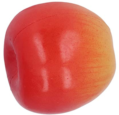 Fdit Musikalische Fruchtrasseln, realistisches Baby-Spielzeugset, bunte Maracas Shaker für Kinder ab 6 Monaten, sicheres Material mit einer großen Auswahl (#15)