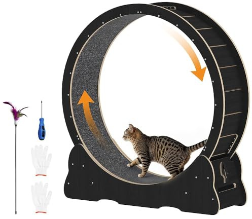 BTYQKZVPM Cinta de Correr para Gatos de Interior, Rueda de Ejercicio for Gatos con Pista Desmontable 110 cm (43,3 Pulgadas) Multicolor(Black)