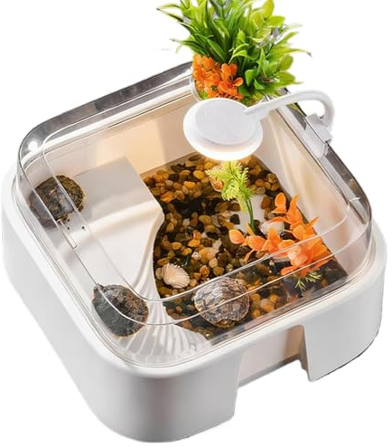 Kleines Schildkröten Terrarium - Ausbruchsicheres Terrarium Mit Beleuchtung,Bartagamen Aquarium Mit Beleuchtung - Für Zuhause Wohnzimmer Aquarium Fische Einsiedlerkrebs Bartagame