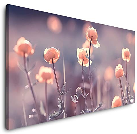 Paul Sinus Leinwandbild 120x60cm Feldblumen Wildblumen Blumen Blüten Frühling Natur