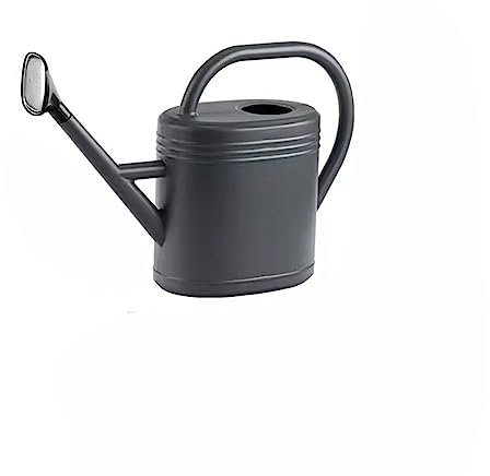 Latas de riego Regadera for Plantas de Interior y Exterior, regaderas de Gran Capacidad, caño Largo, regaderas for Plantas de casa, Flores de jardín Herramientas de jardinería (Color : B, Size : 10L