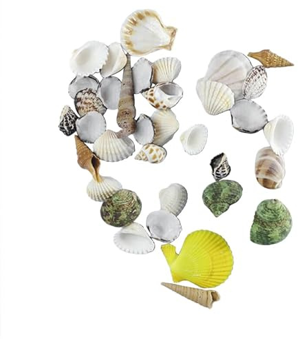 BESPORTBLE 500G Mixed Beach Seashells Natural Colorful Shells for Crafts Jewelry Making Home Decoration Aquarium Vase Filler