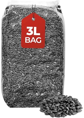 Beewarm Premium Wild Bird Food – Black Sunflower Seeds for Garden Birds – High Energy Bird Feed (3L Bag, Black Sunflower Seeds)