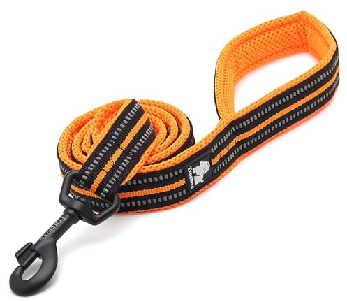 TRUE LOVE Reflective Dog Leash Puppy Walking Lead, Padded Pet Chain Rope，Length 200cm Truelove TLL2111(Orange,L)