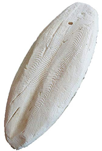 1 Stück Sepiaschale Tintenfische Sepia Knochen Tintenfische Vogelfutter Calcium Pickstone Parrot Vögel Zähne Grind Ausbildung