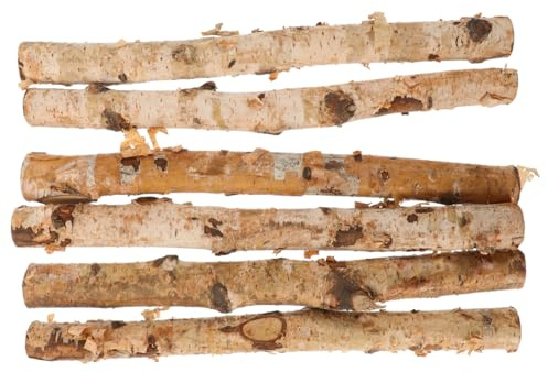 EPIGEIST NatüRliche HolzstäBchen 6 StüCk 11.81In Getrocknete Birkenholz StäBe Zum Basteln Diy ZubehöR FüR Kreative Handarbeiten Blumenarrangements Und Dekoration